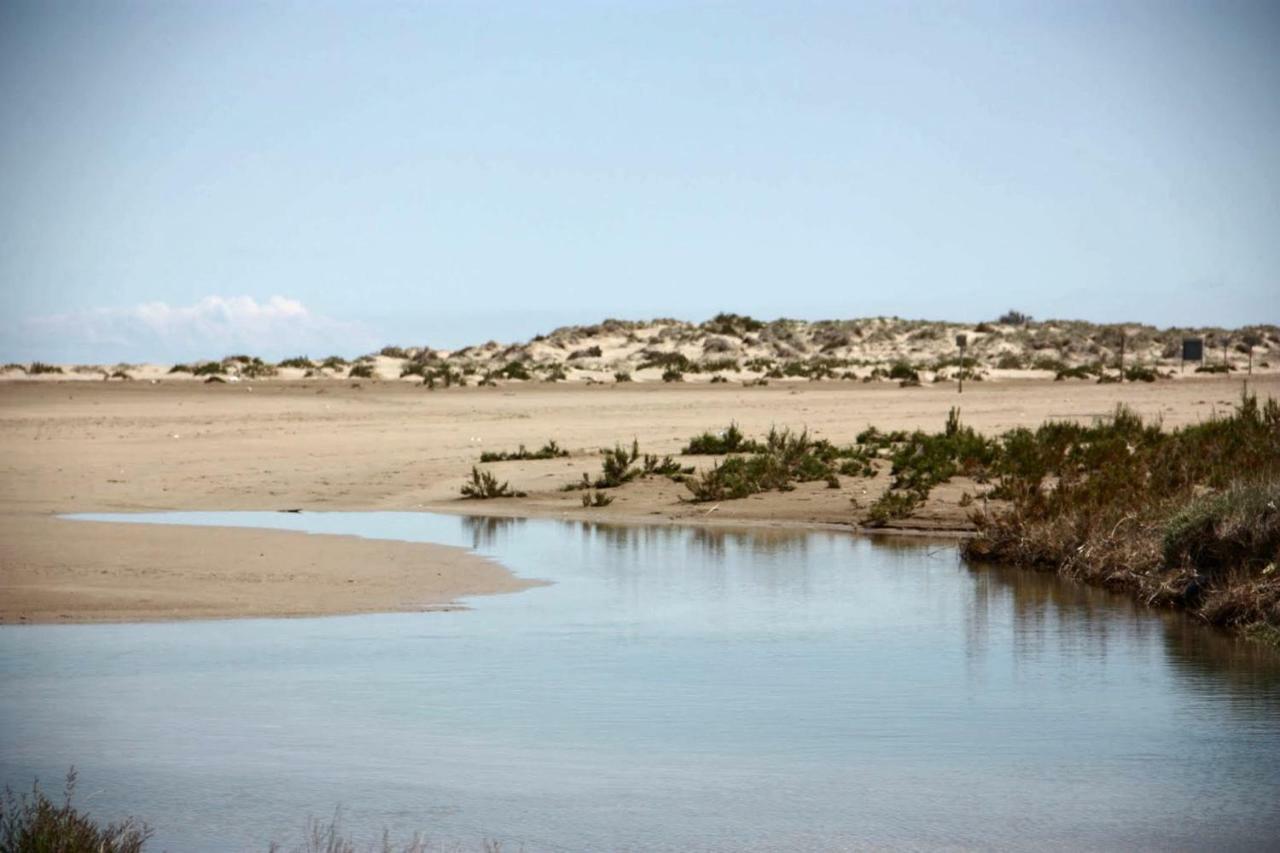 Mi Apartamento En El Delta Del Ebro+ Deltebre Exteriör bild