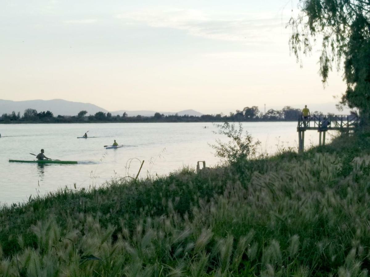 Mi Apartamento En El Delta Del Ebro+ Deltebre Exteriör bild