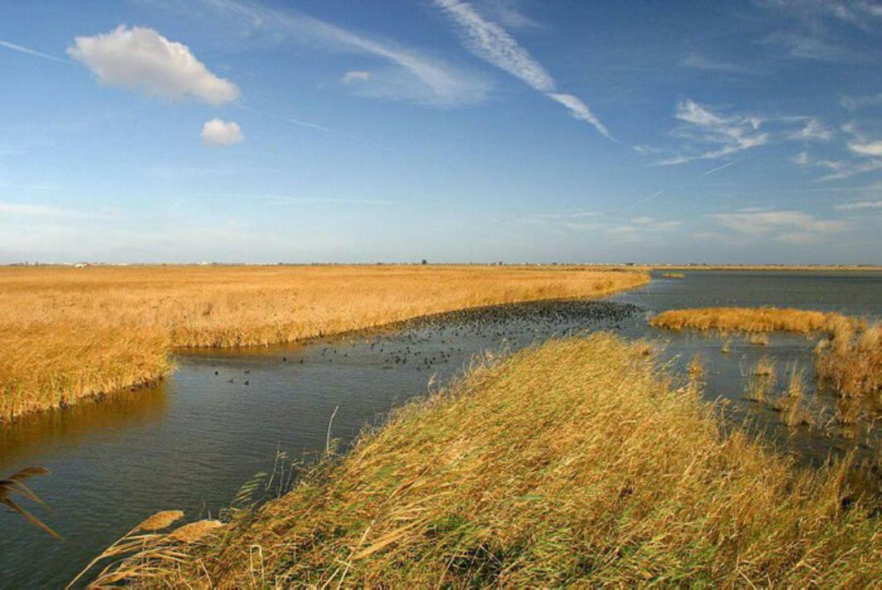 Mi Apartamento En El Delta Del Ebro+ Deltebre Exteriör bild