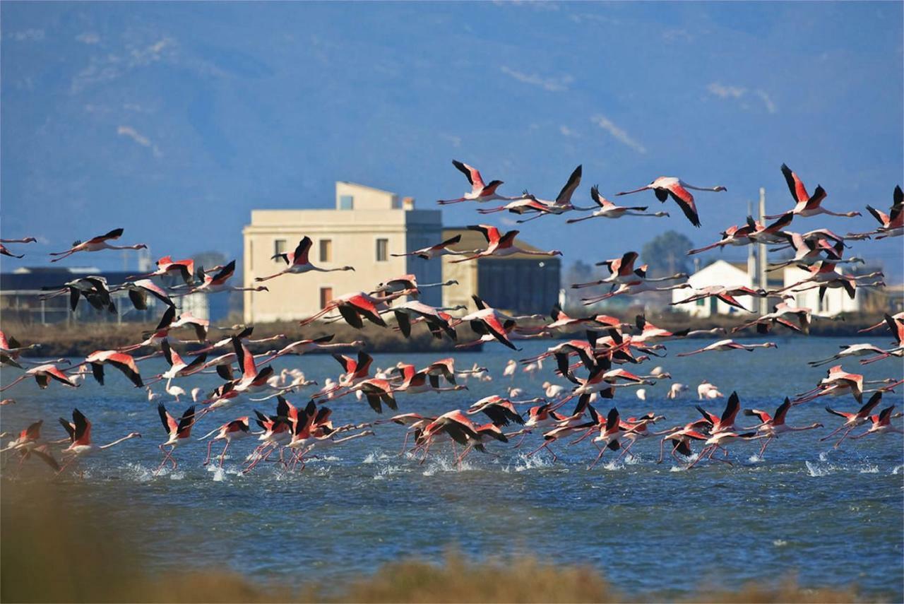 Mi Apartamento En El Delta Del Ebro+ Deltebre Exteriör bild