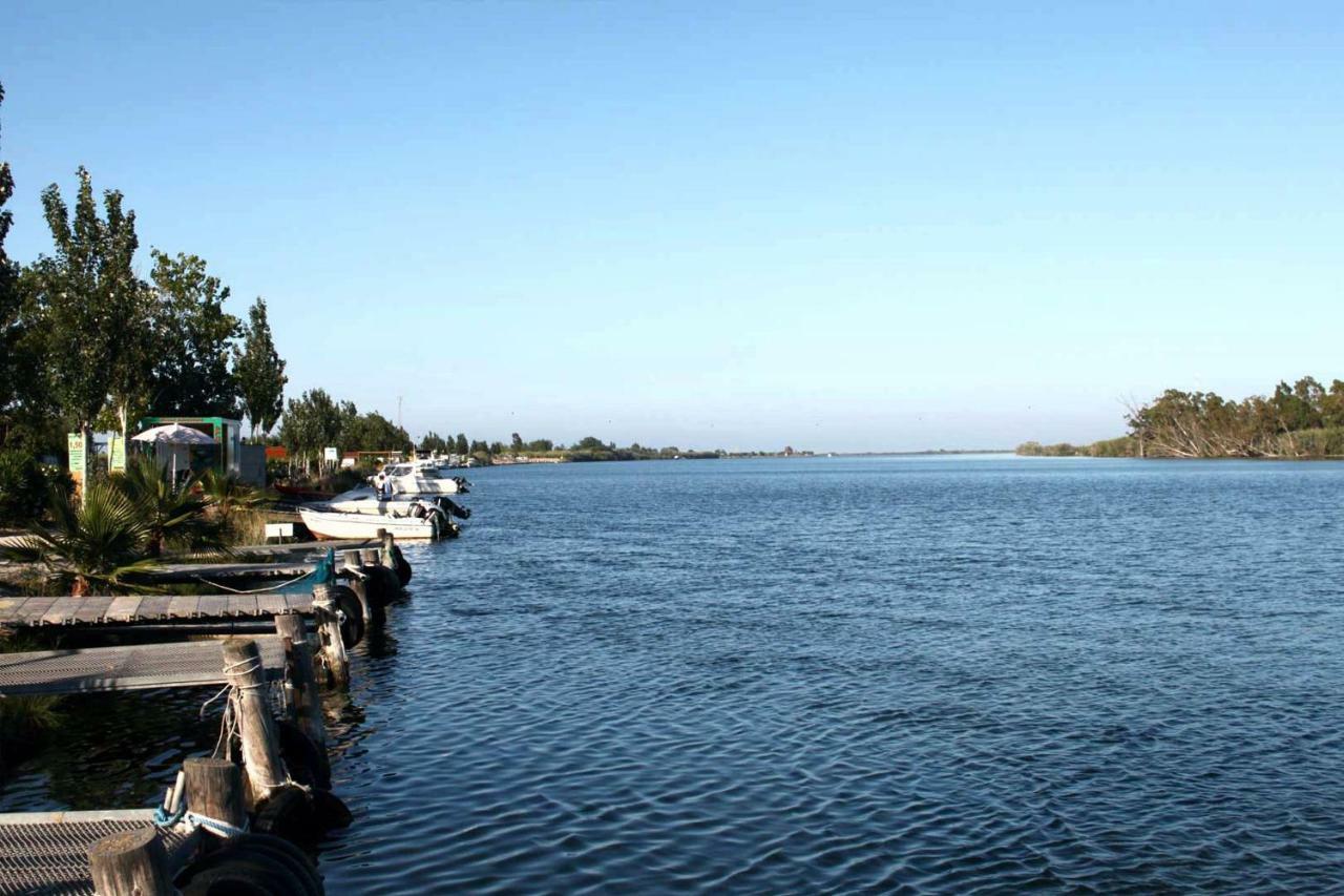 Mi Apartamento En El Delta Del Ebro+ Deltebre Exteriör bild