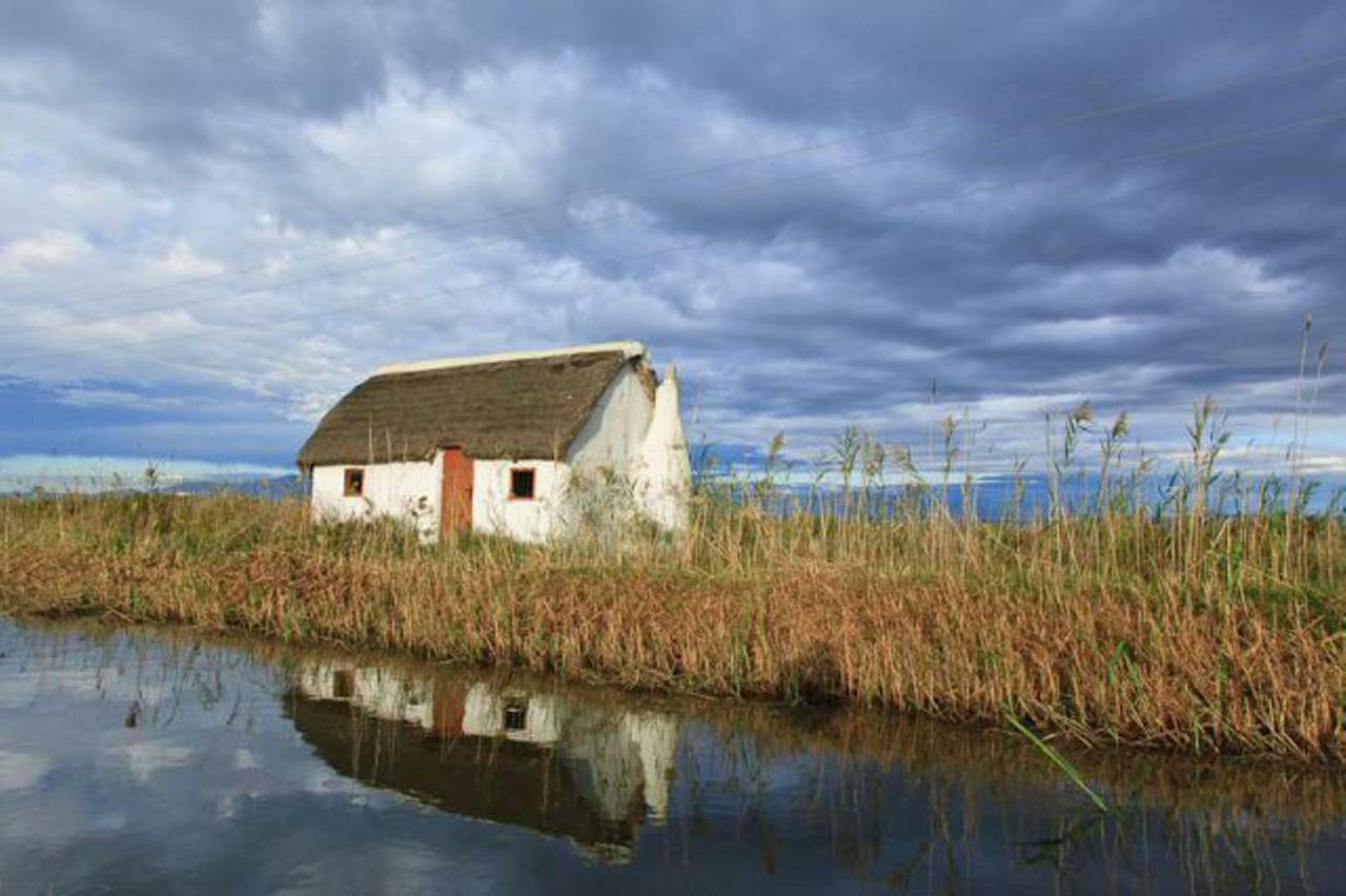 Mi Apartamento En El Delta Del Ebro+ Deltebre Exteriör bild