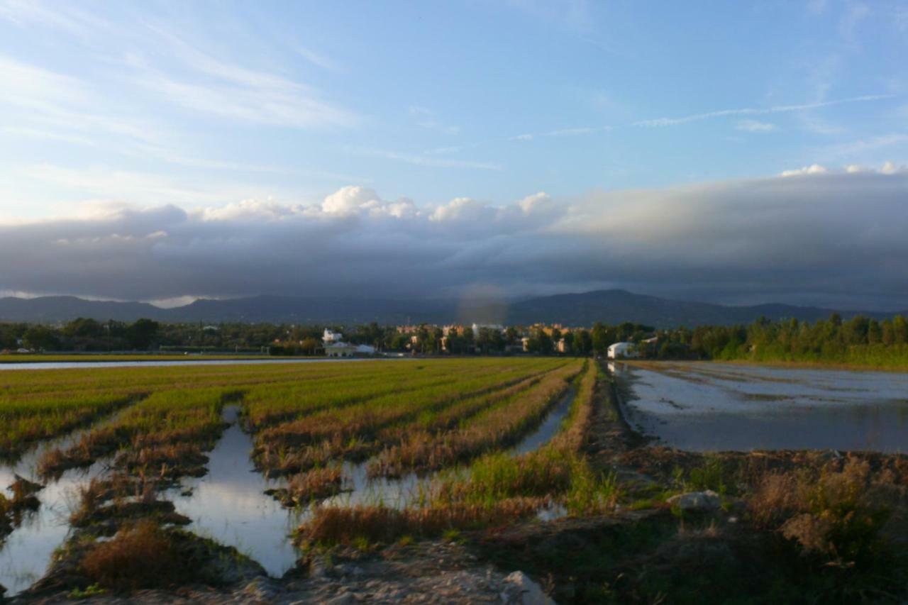 Mi Apartamento En El Delta Del Ebro+ Deltebre Exteriör bild